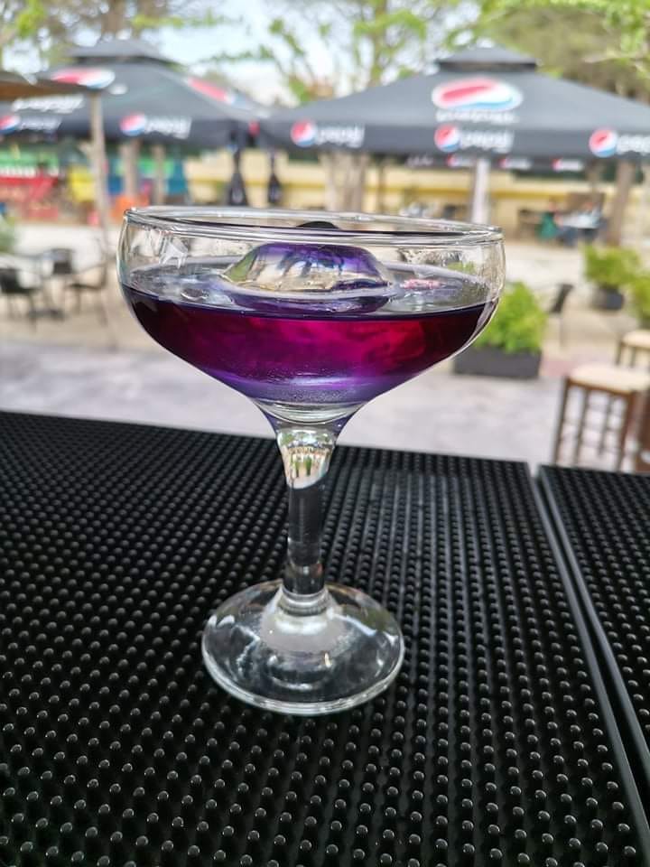 473834499 1079661767291930 3217729685256469468 n