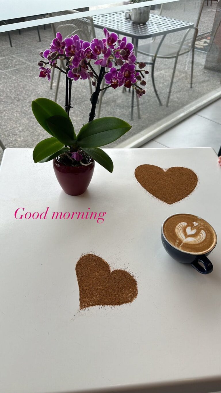 482240027 1190448166118797 8564258841346834094 n 768x1365