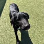 489957636 1437095097613633 144219101644629324 n 150x150