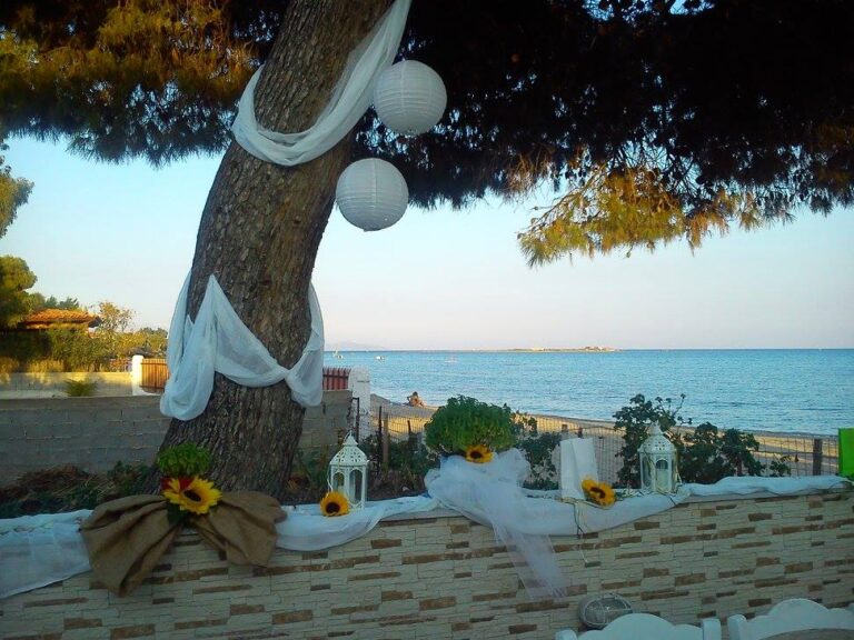 496942965 2706261922905580 3307935809118163058 n 768x576