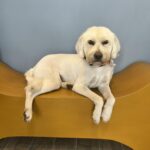 518343295 1307484434711131 8803724512835490105 n 150x150