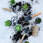 messy indoor gardening 150x150