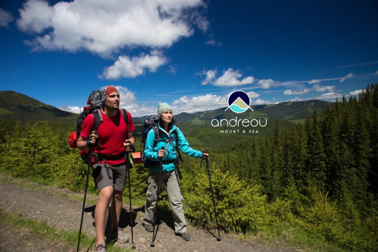 480428934 1169415585190764 7968892235260120963 n 768x512