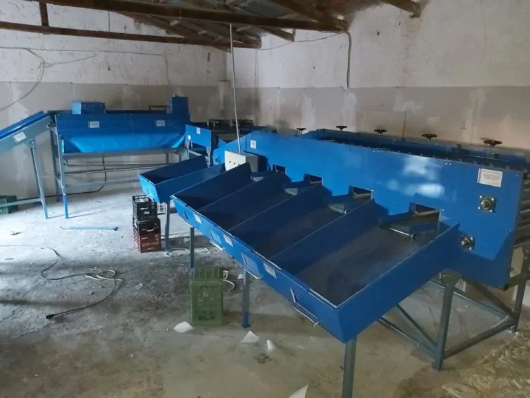 20201107 164737 1024x768.jpg 768x576