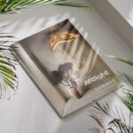 488600240 1203708194792291 4056189502721241781 n 150x150