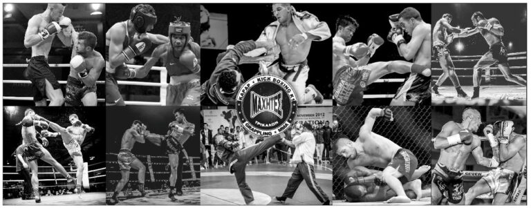 536275355 1294500619138417 5752417732774384154 n 768x301