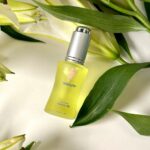 559642583 1100113042320846 2072102697215009126 n 150x150