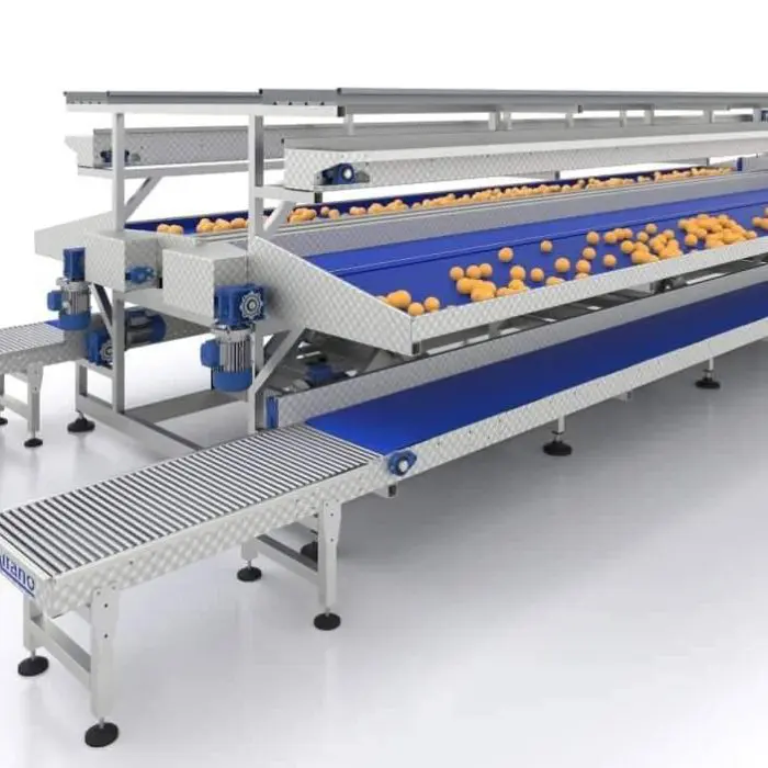 received 571350400322582 700x700 1.jpeg