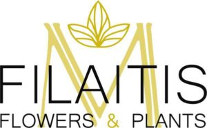 408118550 933212434896332 1546823197153868416 n 300x186