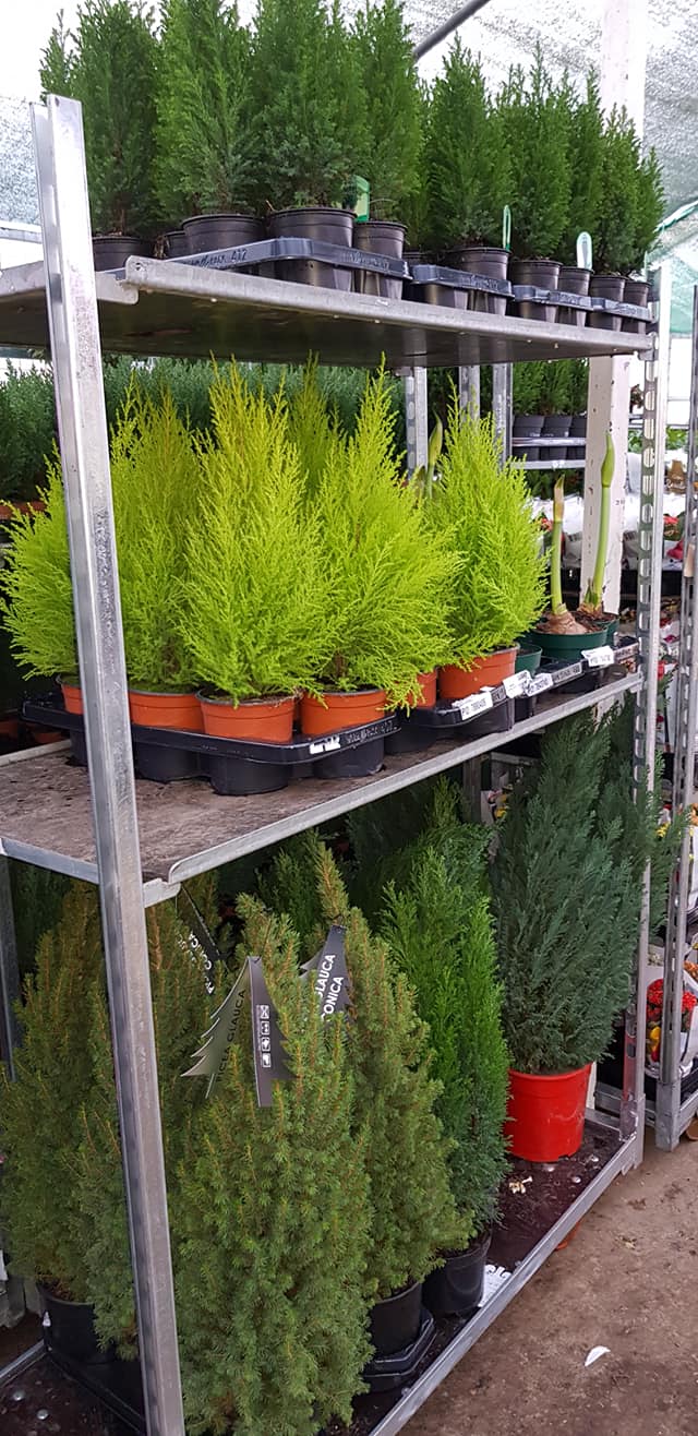 47686043 325686304825518 763331021255999488 n