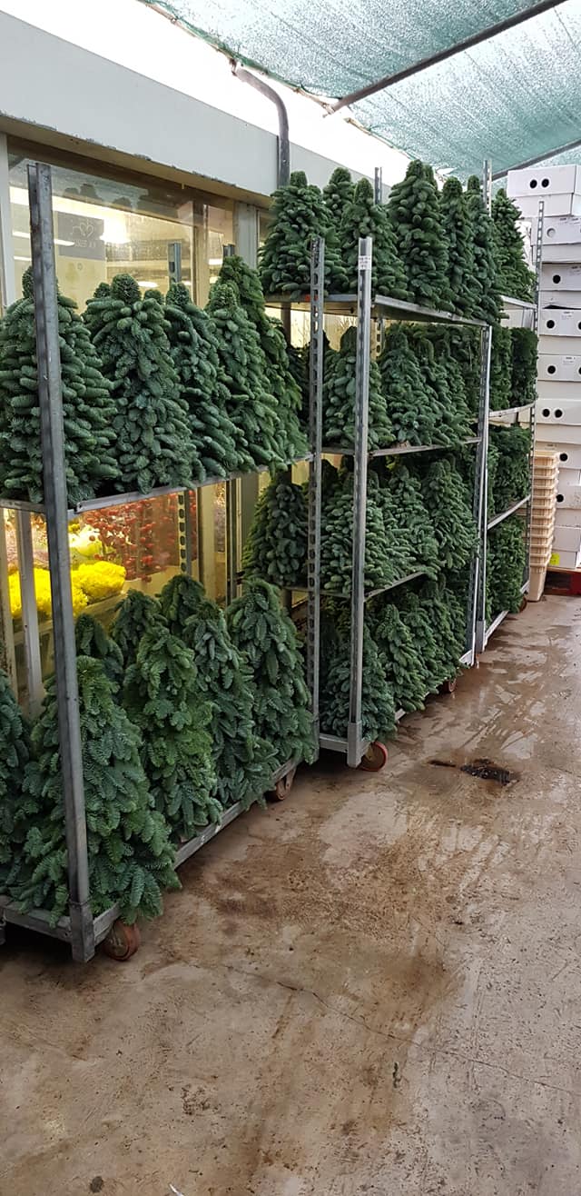 48270364 325685518158930 2472550940742254592 n