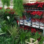 48385835 325686624825486 917305362594398208 n 150x150