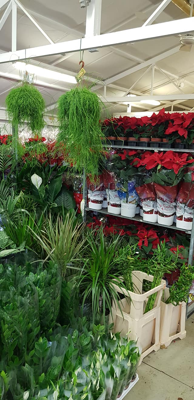 48385835 325686624825486 917305362594398208 n