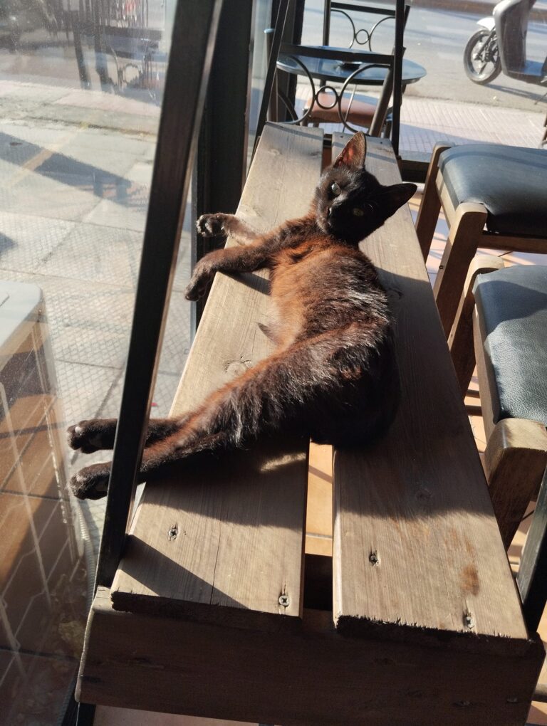 488885253 1234038271956818 5703937310210755184 n 768x1020