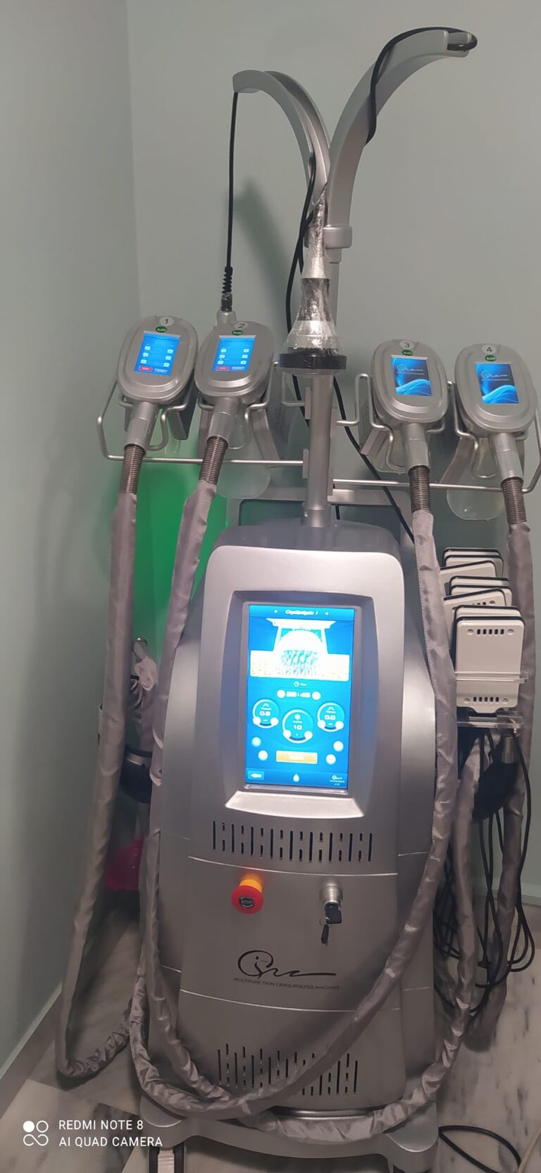 481908612 10229109664908055 8963012527162488521 n 768x1664